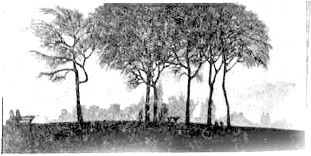 File:Sanchayan 06-2024 Image 16.jpg