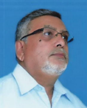 File:GTVI Image 127 Harish Mangalam.png
