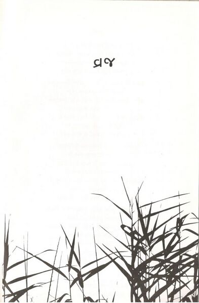 File:Chhol 3.jpg