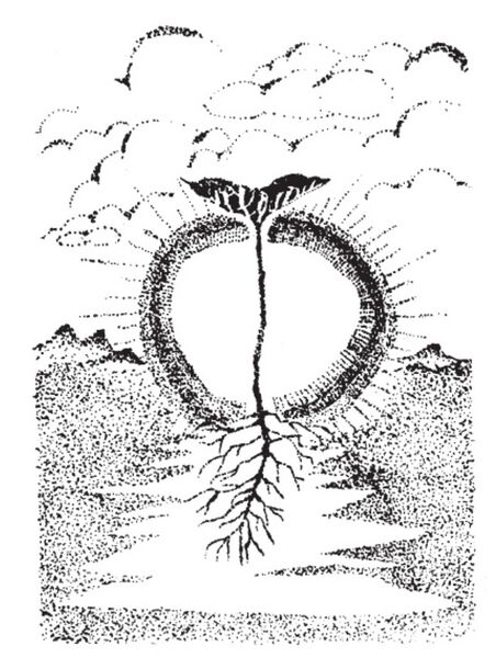 File:Param Samipe Image 1.jpg