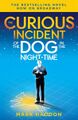 29-The-Curious-Cover.jpg