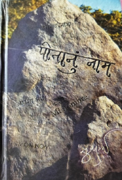 File:GTVI Image 116 Potanum Nam.png