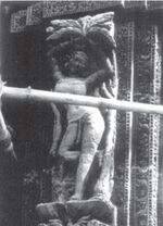Narivad Image 5.jpg