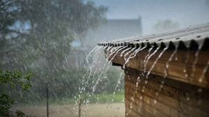 Sanchayan 10-8 With-no-reservoirs-rain-lone-source-of-water-in-this-Assam-village-1068x601.jpg