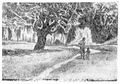 Sanchayan 06-2024 Image 15.jpg