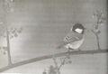Thumbnail for version as of 17:16, 25 January 2025