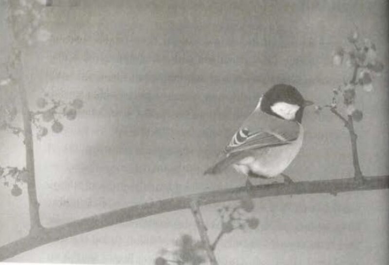 File:Sonanam Vruksho - Image 6.jpg