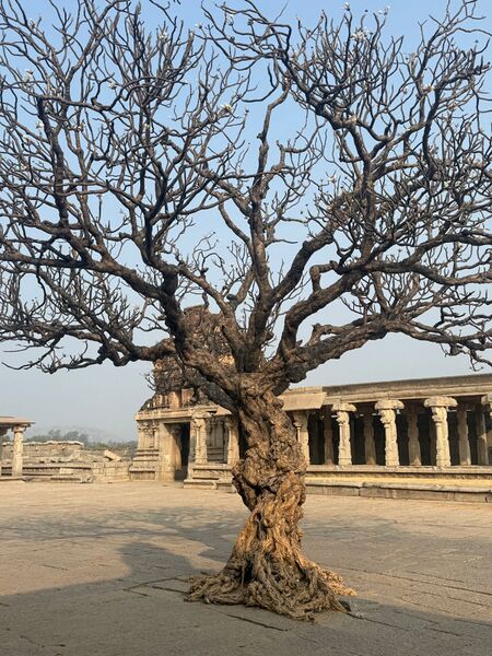 File:Sanchayan-11 Image 29.jpg
